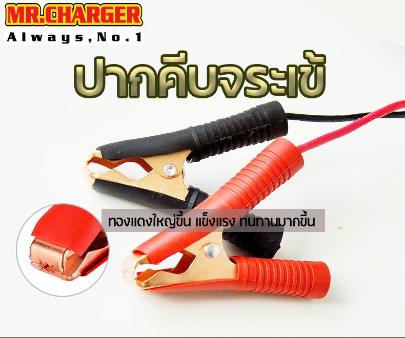 เครื่องชาร์จและฟูฟื้นแบตเตอรี่อัตโนมัติ MR.CHARGER
