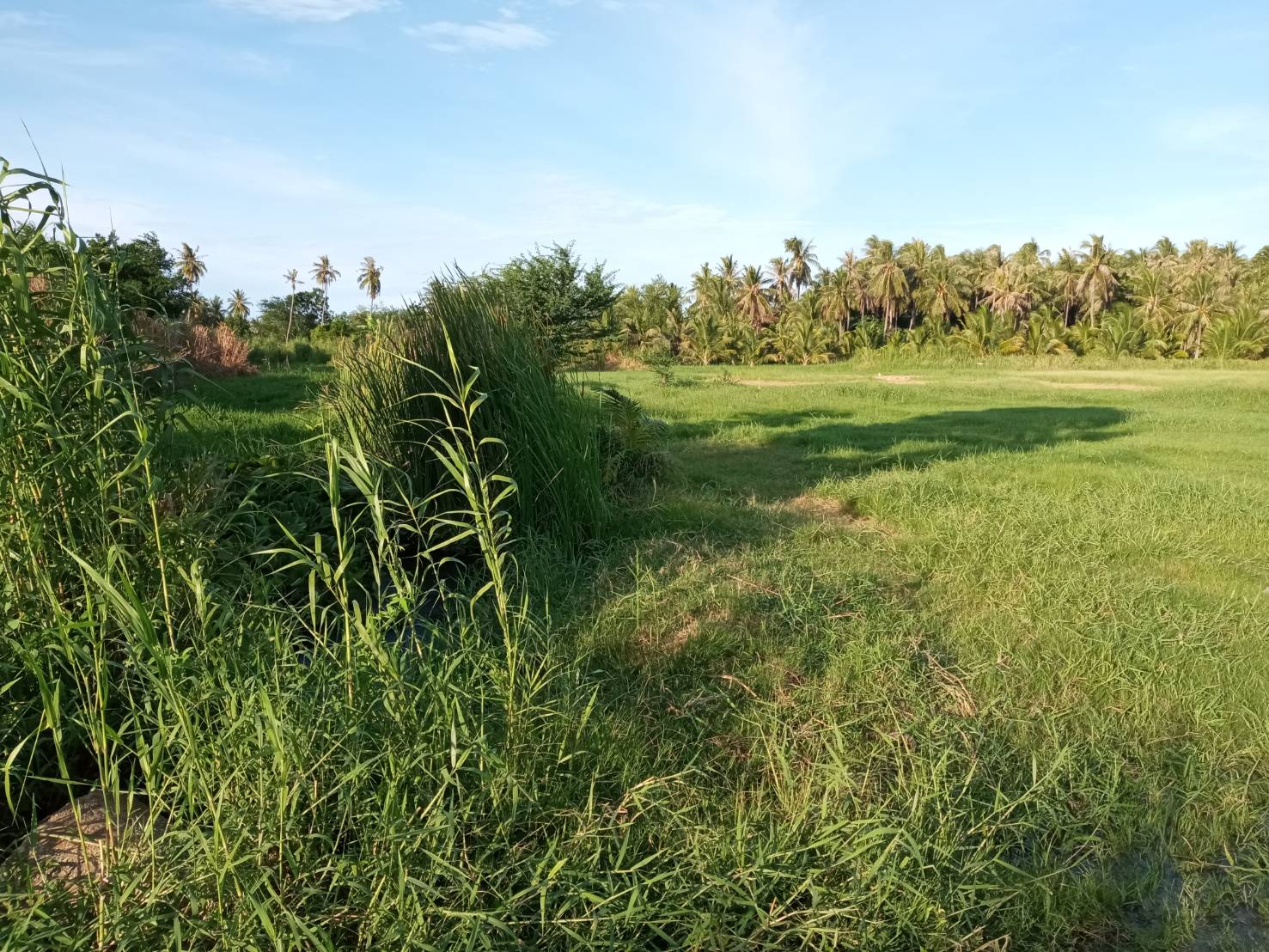 ขายที่ดิน ใกล้เเหล่งชุมชน ที่ดินตั้งอยู่ในเขตเทศบาลกุยบุรี จ.ประจวบ ฯ