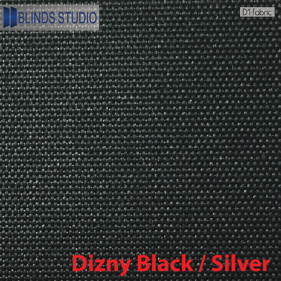 Dizny Black / Silver