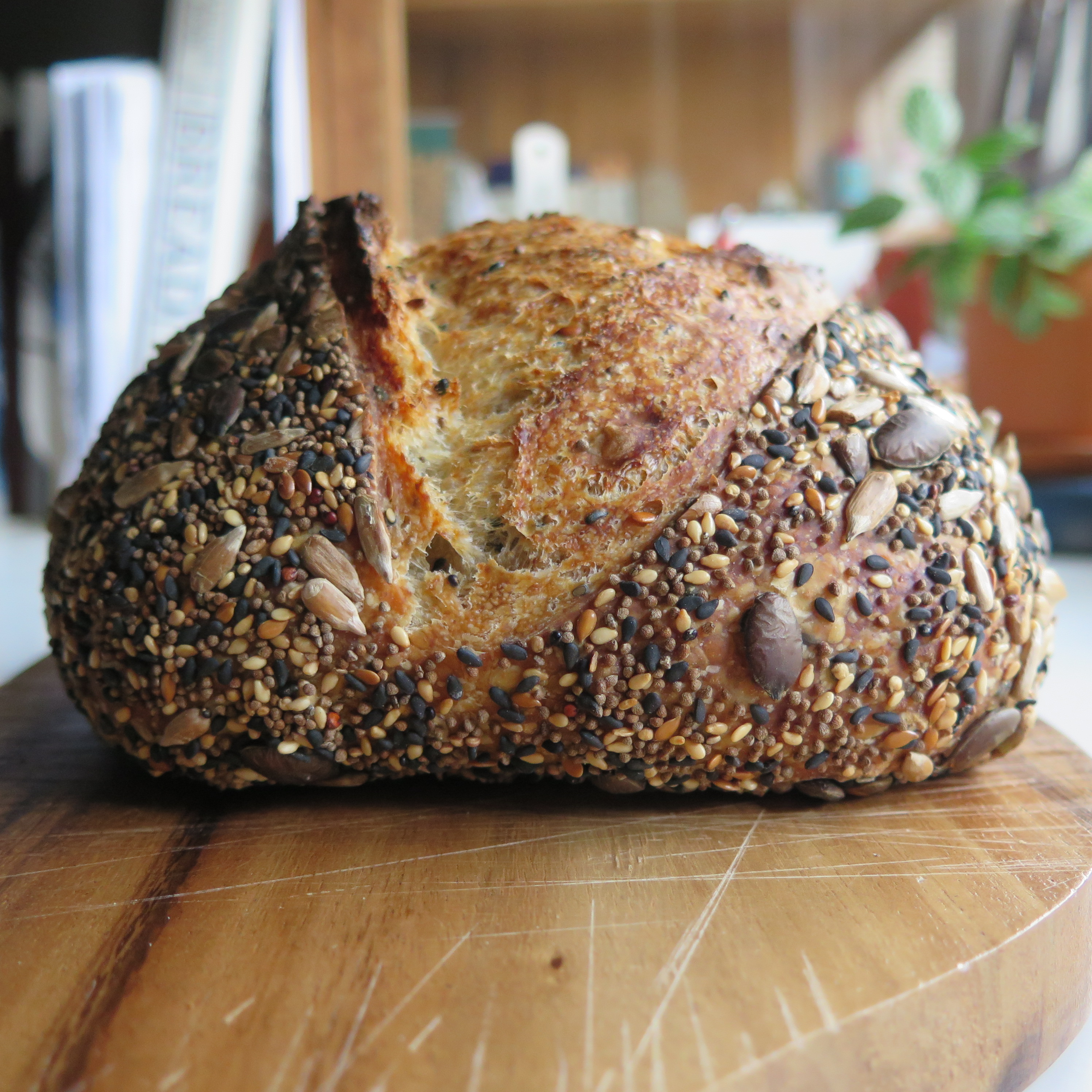 Ⓥ Super Seeds Sourdough Bread (16% Whole Wheat, Vegan)