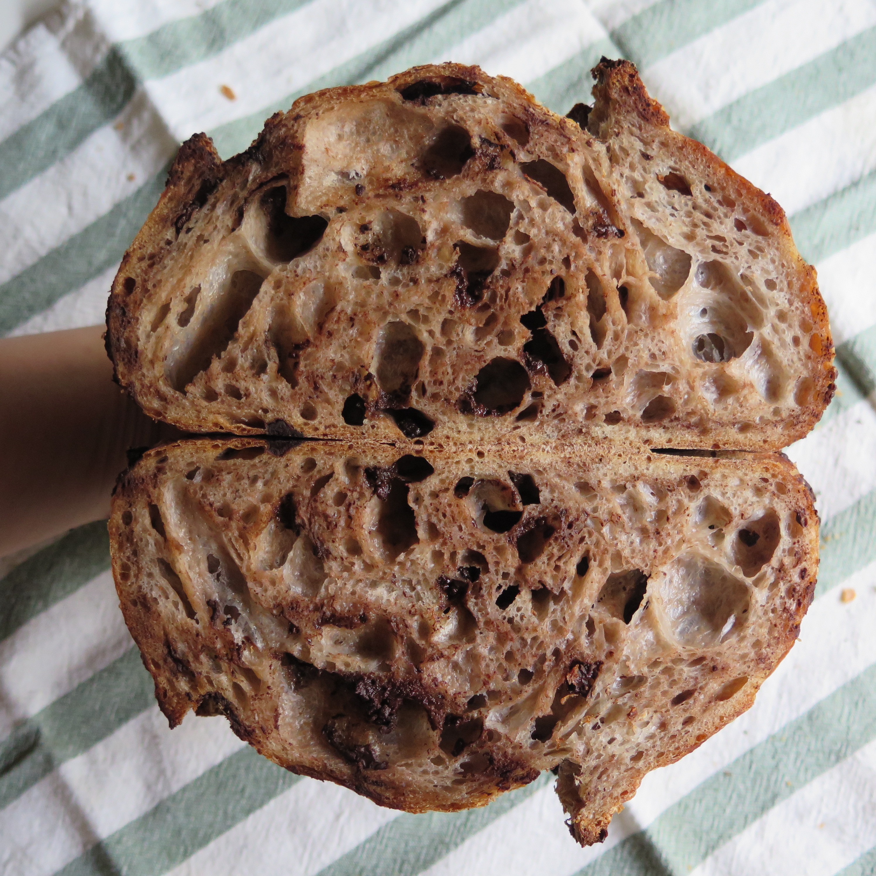 Bitter-Sweet Triple Chocolate Cranberry Sourdough (16% Whole Wheat)