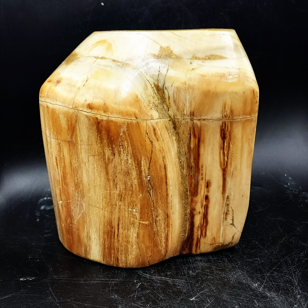 ไม้กลายเป็นหินชนิดอาเกตขัดมัน ทรงภูเขา Petrified Wood (3.3 กิโกกรัม, 18x15x9ซม.)