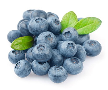 BB กลิ่นบลูเบอร์รี่ Blueberry Flavor