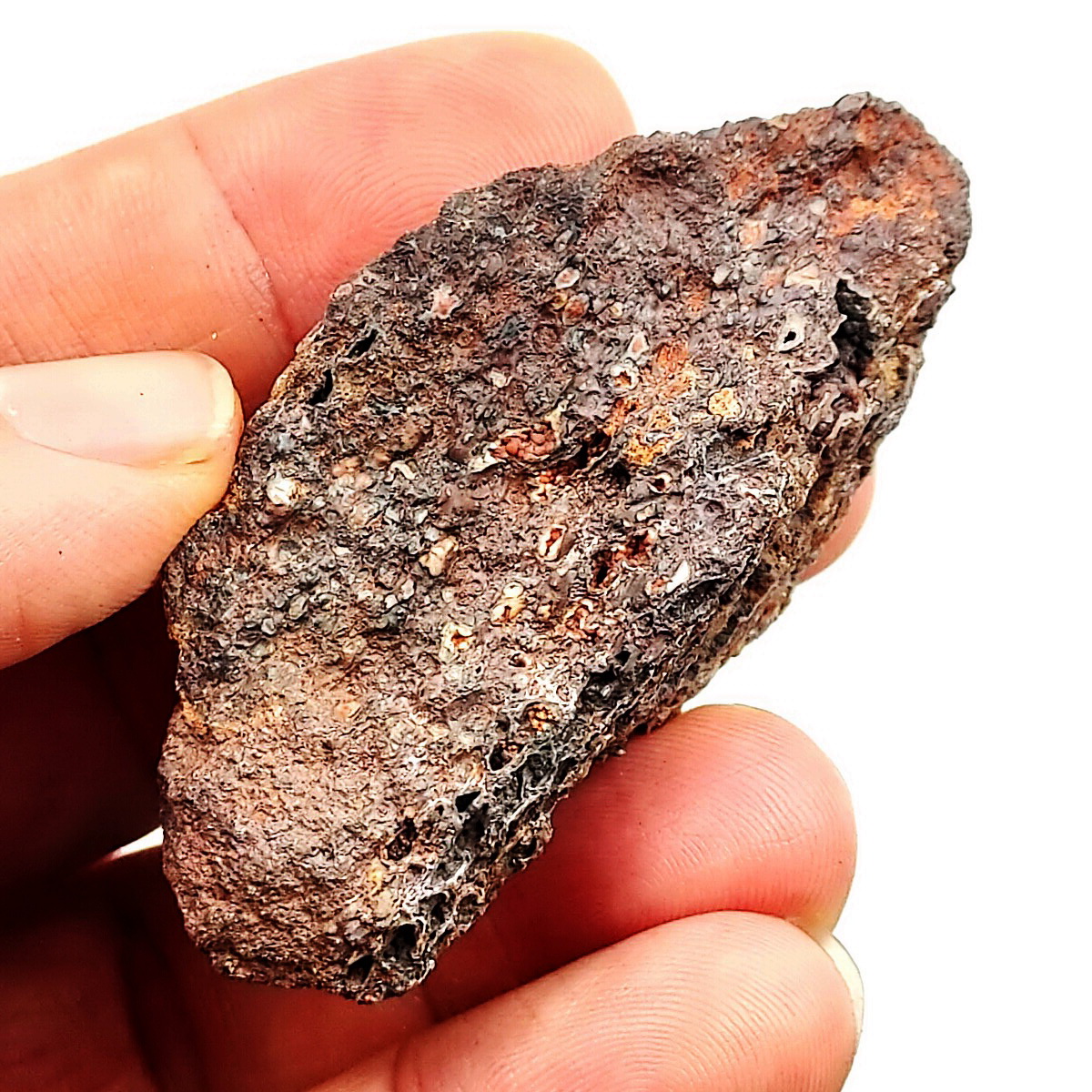 กระดูกไดโนเสาร์จากรัฐยูท่าห์ USA (Agatized Dinosaur Bone) 37กรัม 6 x 2.7 x 2.2 ซม.