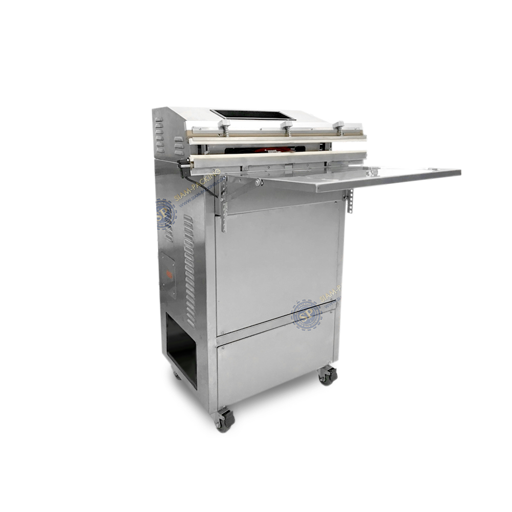 DZQ 600 WS