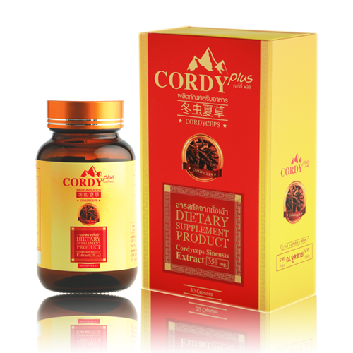 CORDY plus ถั่งเฉ้าธิเบต