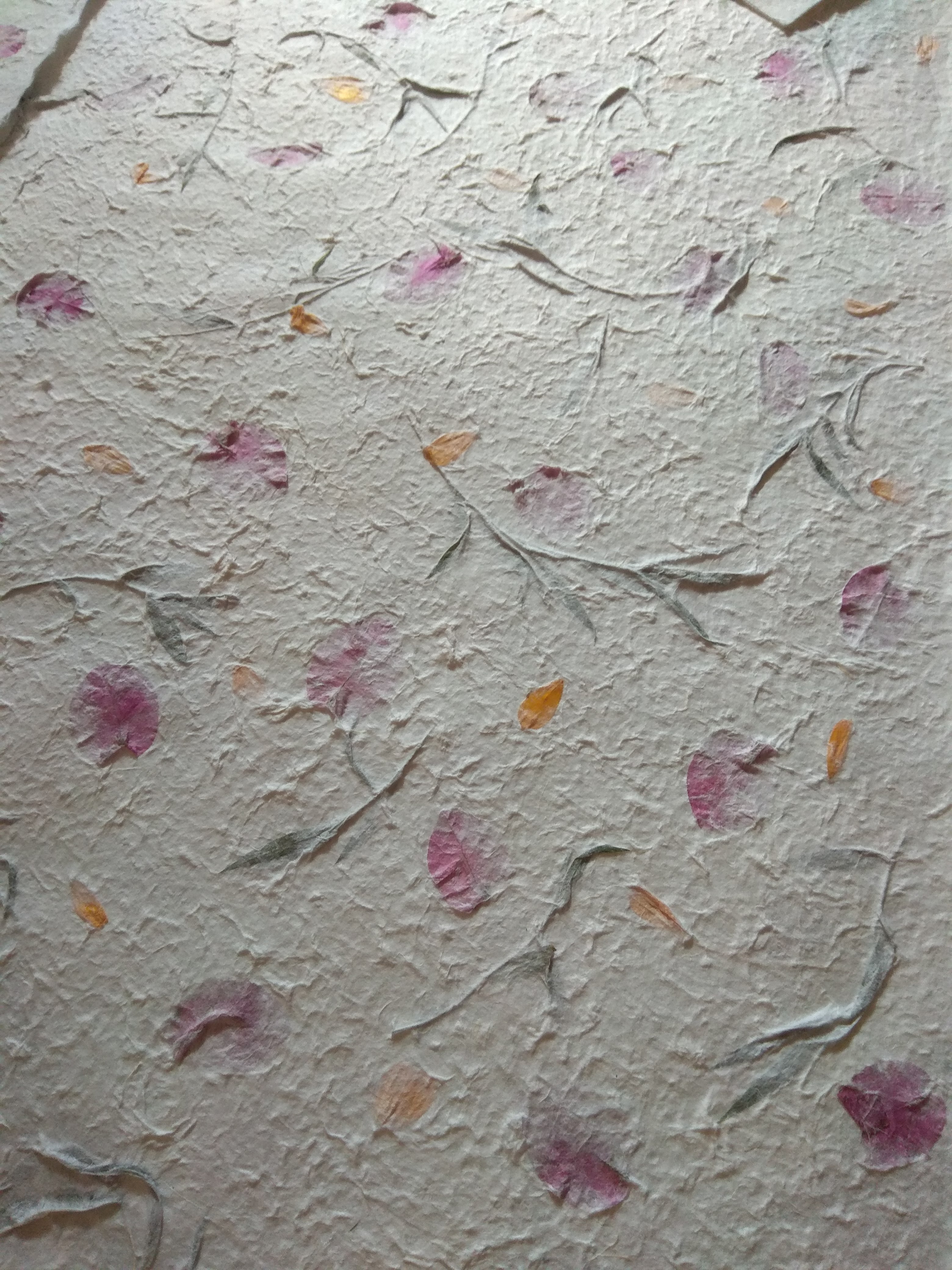 Dried Fiber Mulberry Paper Pressed Natural Leaves and FLowers Handmade for scrapbooking, flower making, card making, invitation