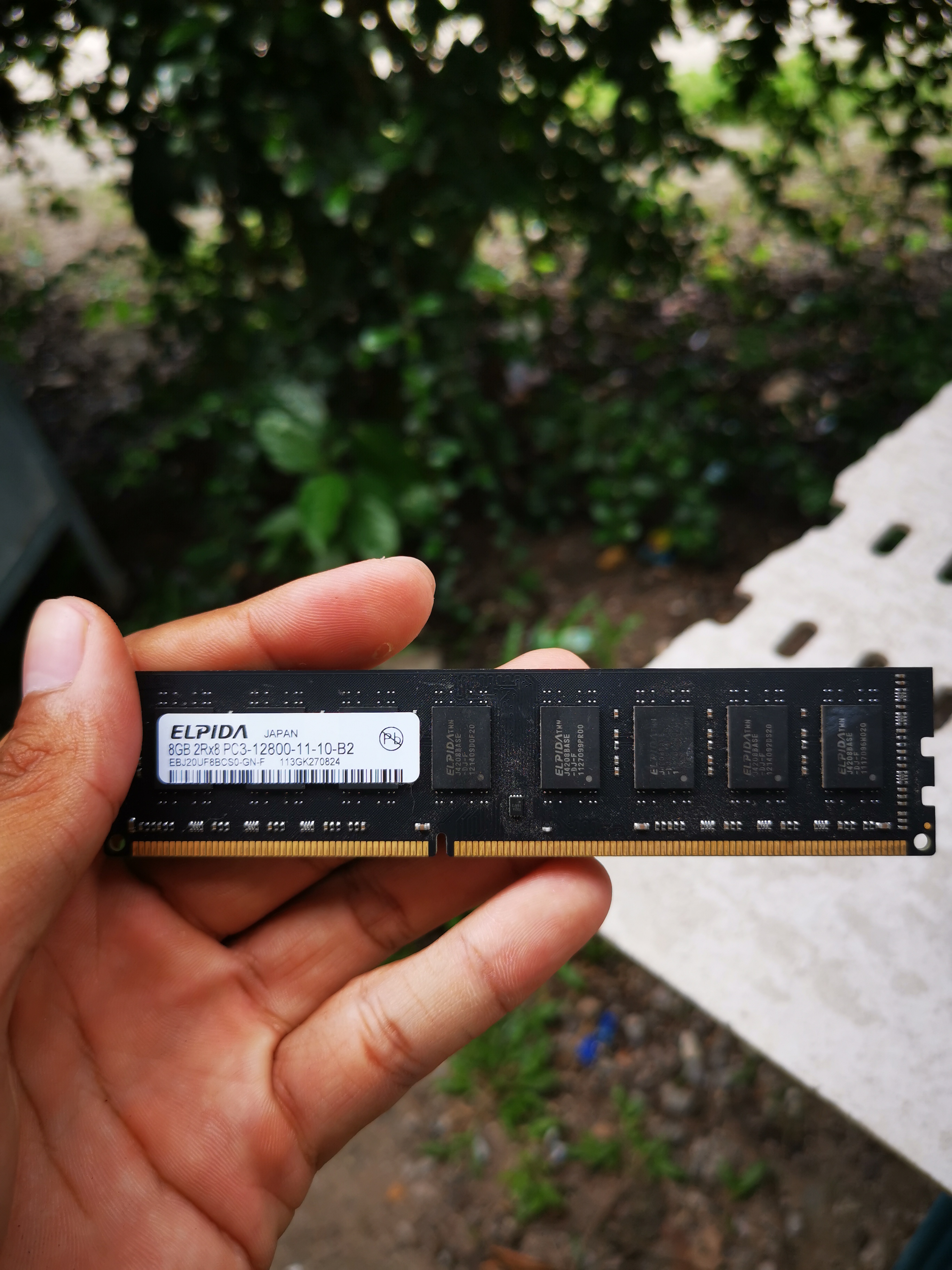 Ram elpida DDR3 8G Bus1600