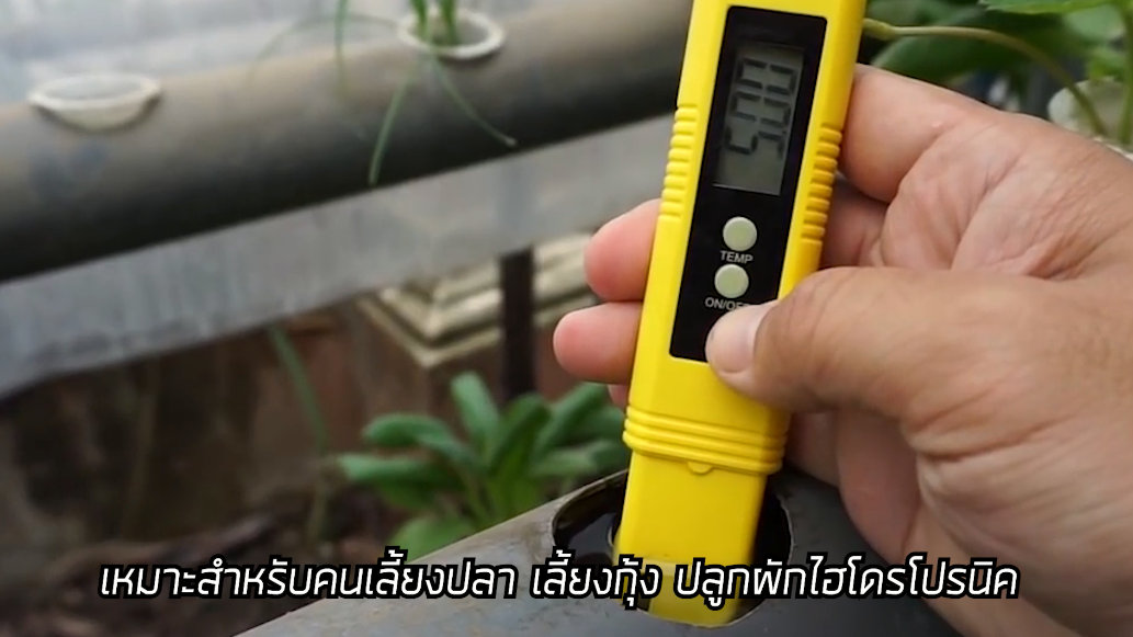 pHMETER เครื่องวัดความเป็นกรด-ด่าง