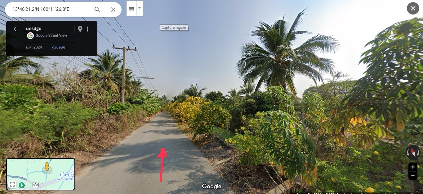 ขายที่ดินเปล่า นครชัยศรี ขนาด 163 ต.ร.ว เหมาะสร้างบ้านสวน