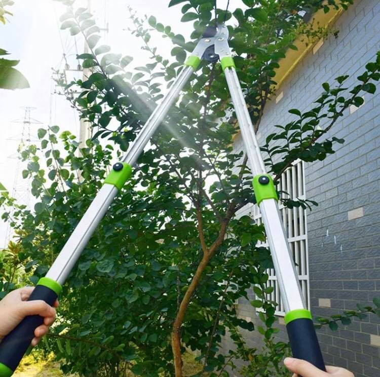 กรรไกรตัดกิ่งสูง ยึดได้ OSUKA