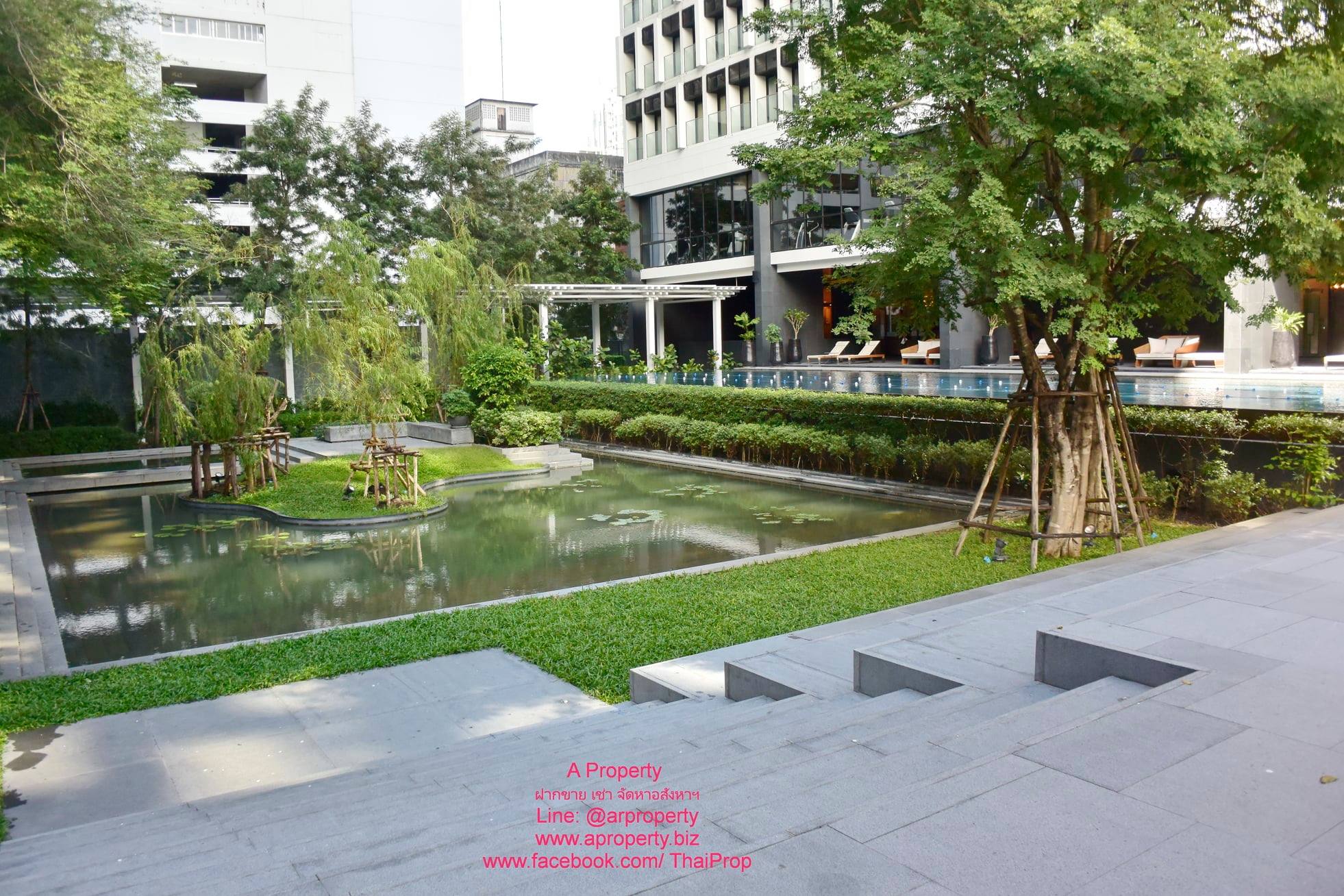 โนเบิล เพลินจิตร