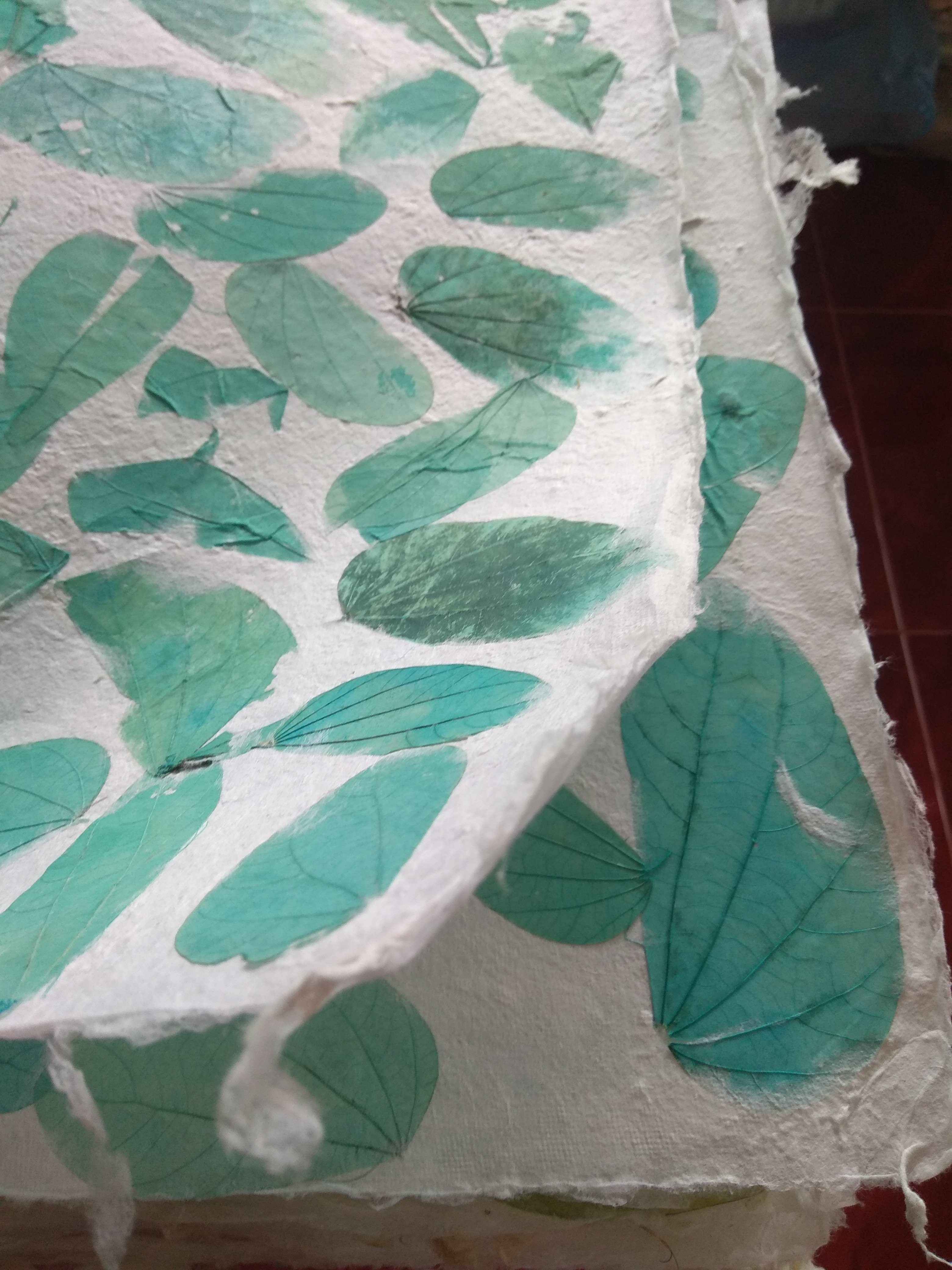 กะดาษสา ใส่ใบไม้ มีทุกสี