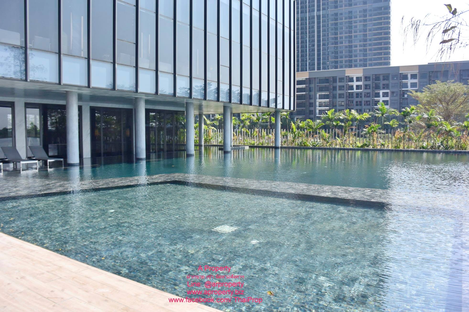 The Politan Aqua