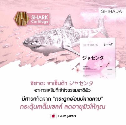 Shihada Jacenta 1 แผง Set ทดลอง 10 เม็ด