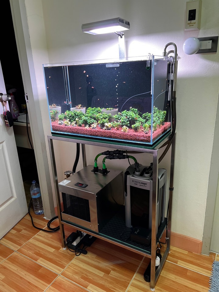 CoolPEX PX-Ecojet ชิลเลอร์ตู้ปลา 12" - 24"