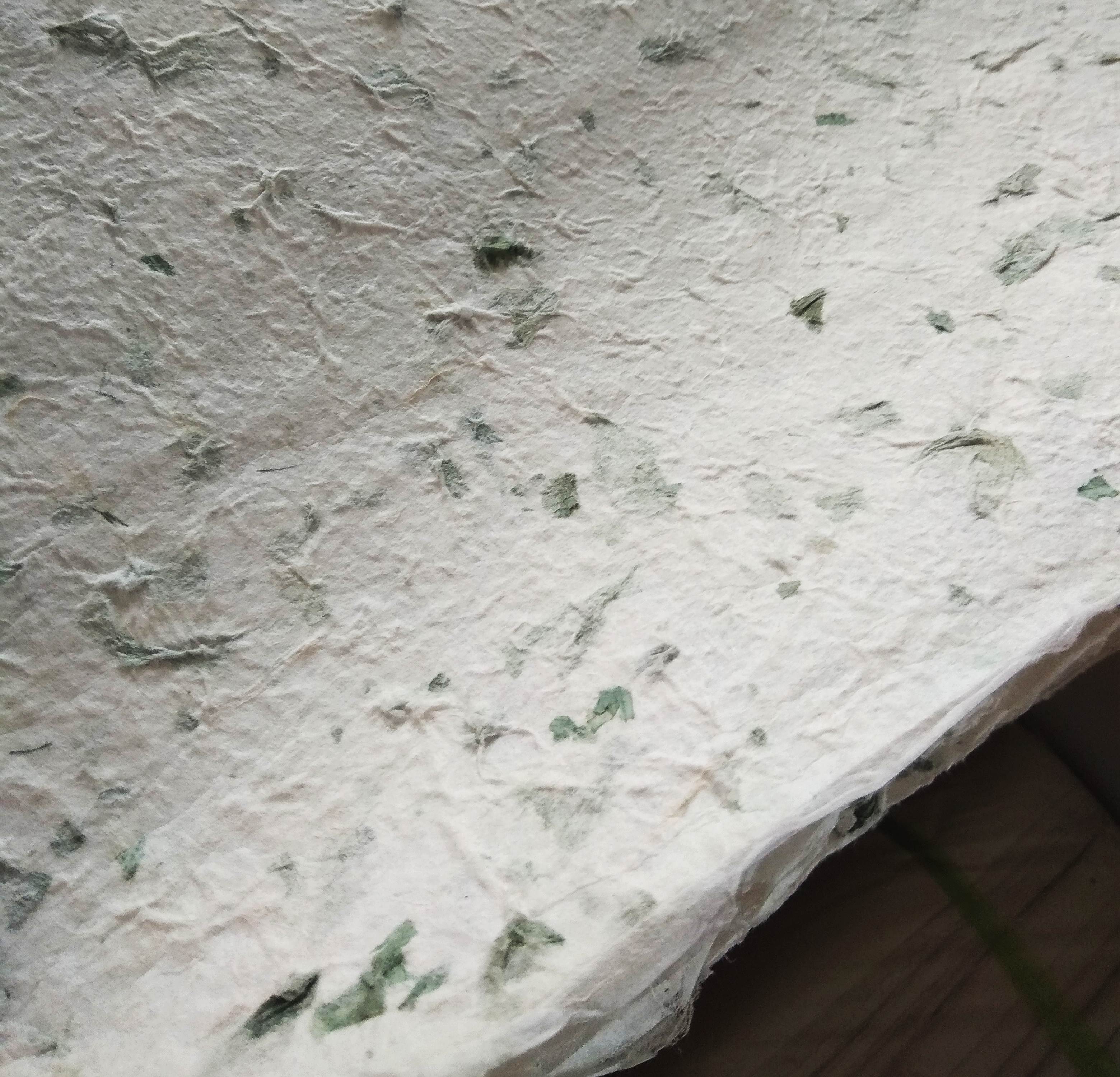 กระดาษสา ใส่เปลือกกระเทียมสีเขียว