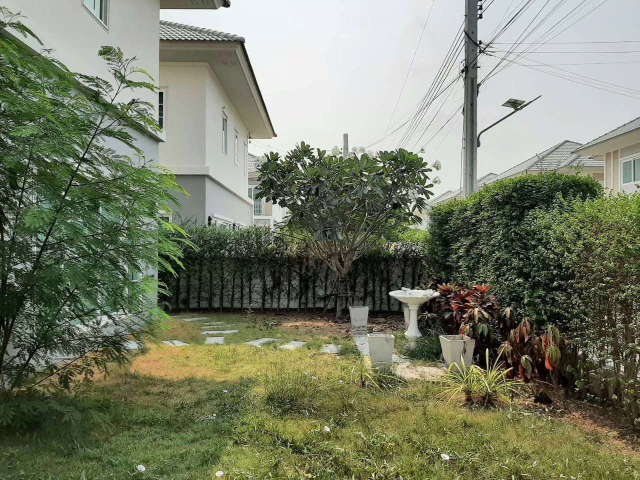ให้เช่าบ้านเดี่ยว ไม่เคยเข้าอยู่ หลังมุม บ้านกล้วย-ไทรน้อย