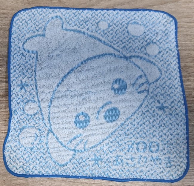 Zoo ผ้าเช็ดหน้าน้องแมวน้ำ จากญี่ปุ่น SIze : 19.5 x 19.5 cm