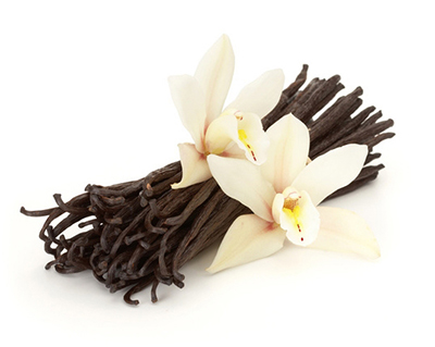 VN กลิ่นวานิลา Vanilla Flavor