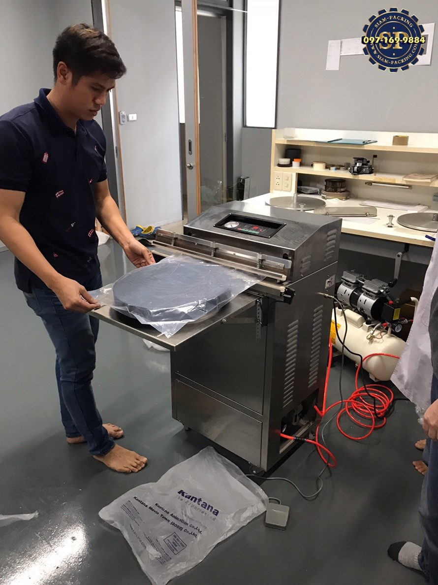 DZQ 600 WS
