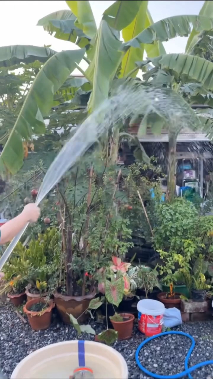 ปั้มไดโว่ ยี่ห้อ Onsen 12V 24V แถมตัวคีบแบต 1คู่