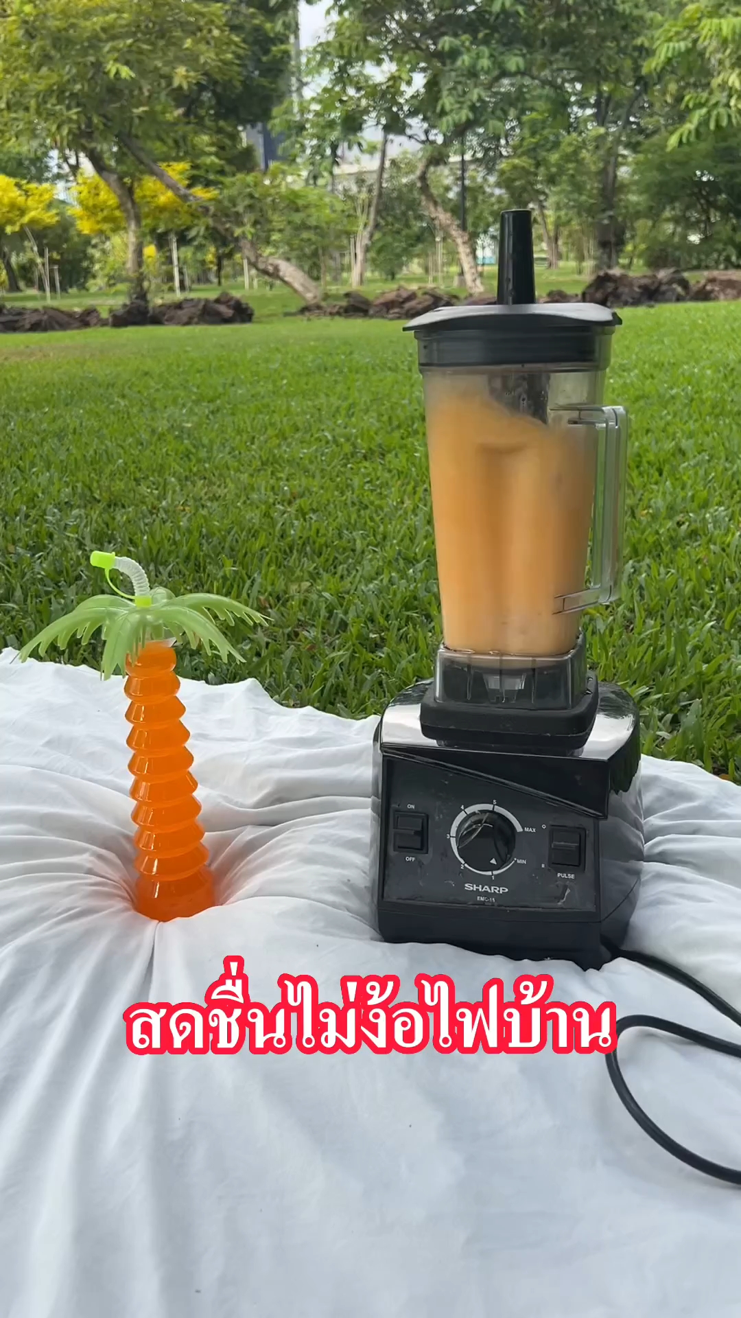อินเวอร์เตอร์ แปลงไฟ 12V เป็น 220V ขนาด 3,000 วัตต์ ยี่ห้อ WE POWER MAX