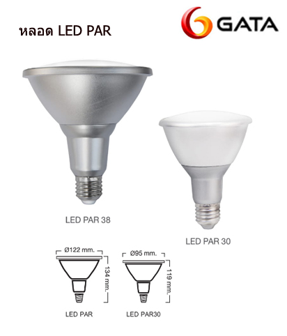 หลอดไฟ LED PAR30 PAR38
