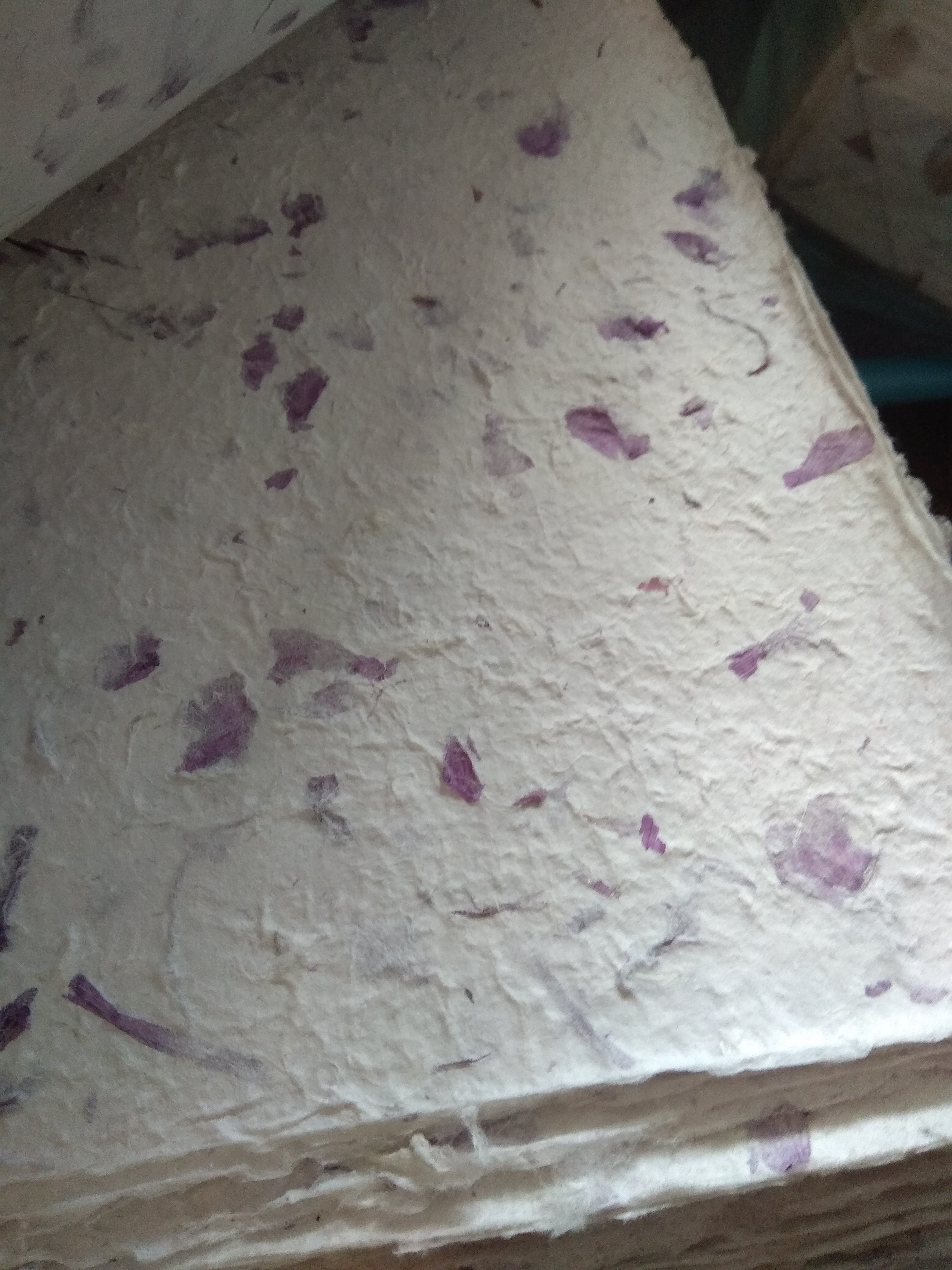 กระดาษสา ใส่เปลือกรกะเทียมสี ม่วง