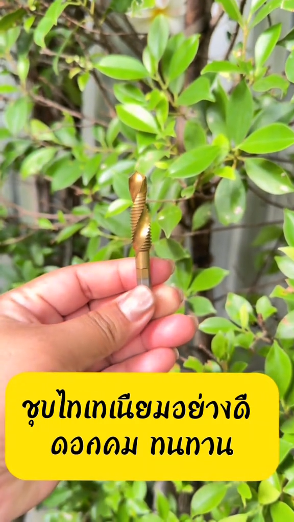 ชุดดอกสว่านต๊าปเกลียว HSS ( สีทอง ) ขนาด 6 ตัวชุด