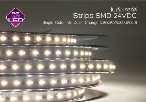 ไฟเส้น LED STRIPS SMD 24V/DC EVE