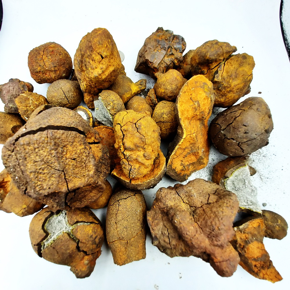 [เหมาทำมวลสาร 5.5KG] หินเหล็ก ตาข่ายพันชั่ง จากประเทศลาว [มีการแตกส่วนใหญ่แตกเอง] หินแท้ หินมงคล