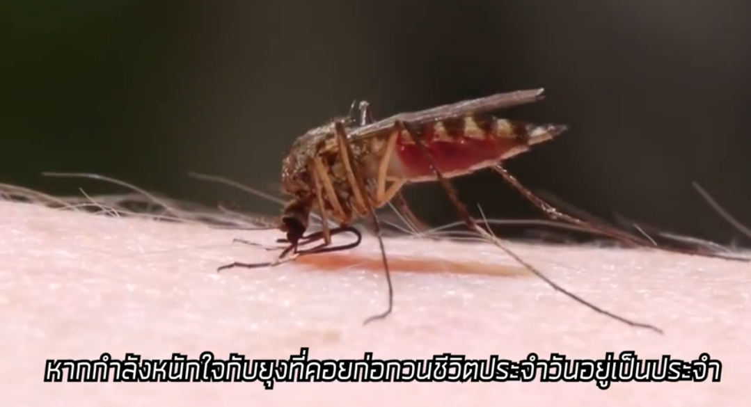 หลอดไฟดักยุง LED 15W ใช้กับไฟบ้าน 220v