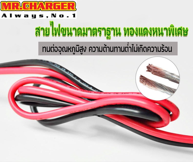 เครื่องชาร์จและฟูฟื้นแบตเตอรี่อัตโนมัติ MR.CHARGER