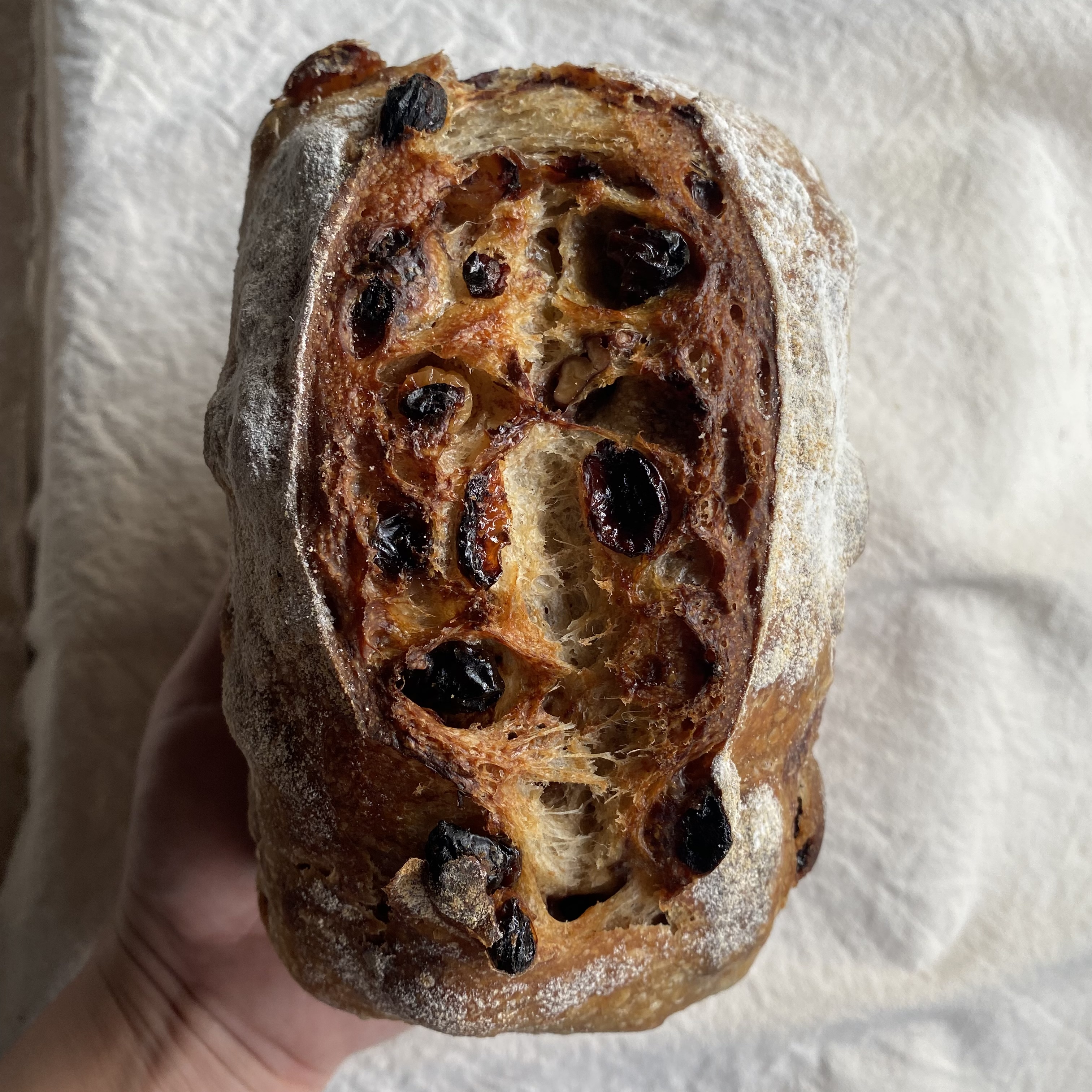 Raisins Cinnamon Pecan Sourdough (16% Whole Wheat, Vegan) Tin