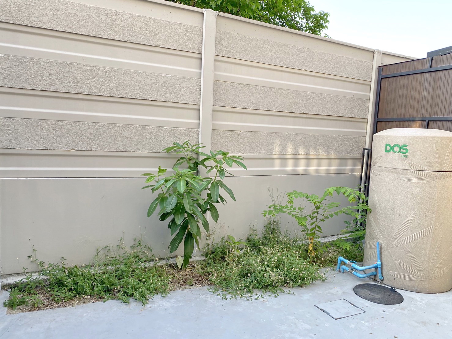 ให้เช่า บ้านกลางเมือง The Era ปิ่นเกล้า-จรัญฯ บ้านใหม่มือ 1 สามชั้น