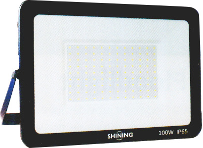 หลอด LED Floodlight Eco 20W, 30W, 50W, 100W