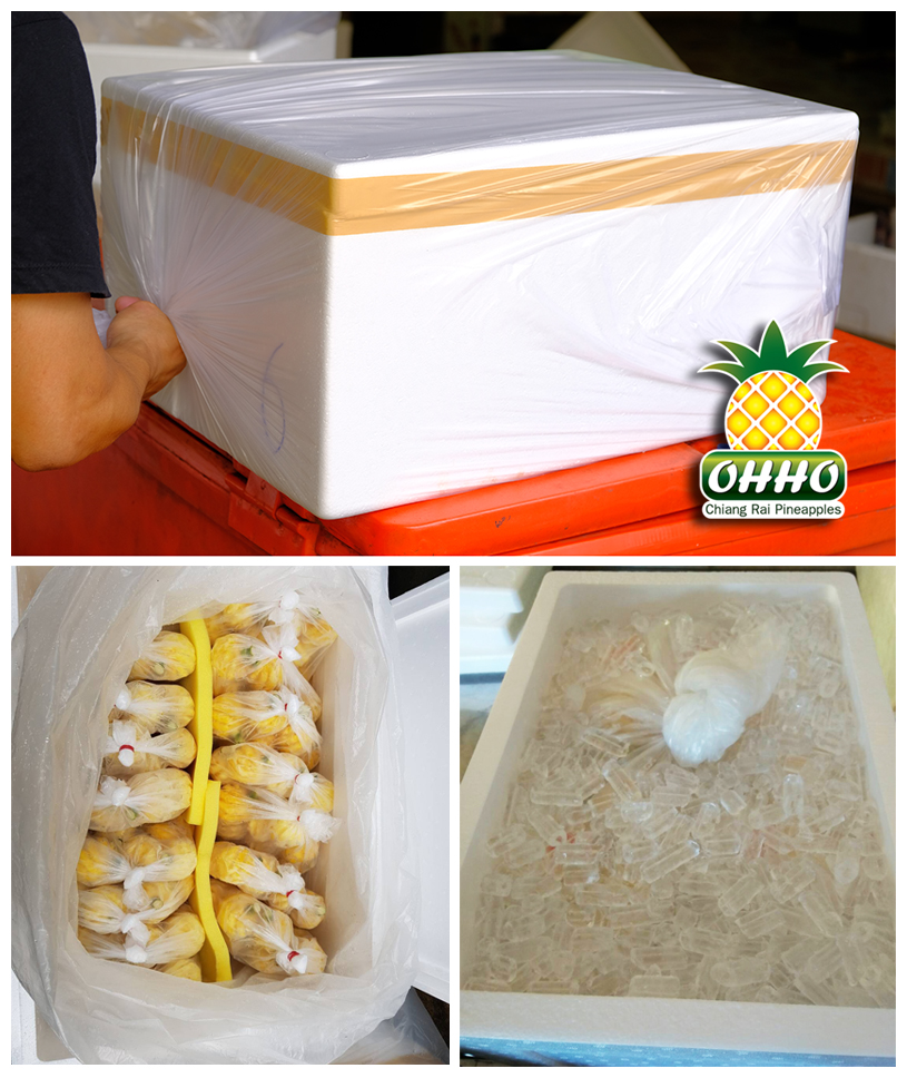 สับปะรดภูแลแบบปอกเปลือก บรรจุในกล่องโฟม 15 กิโลกรัม