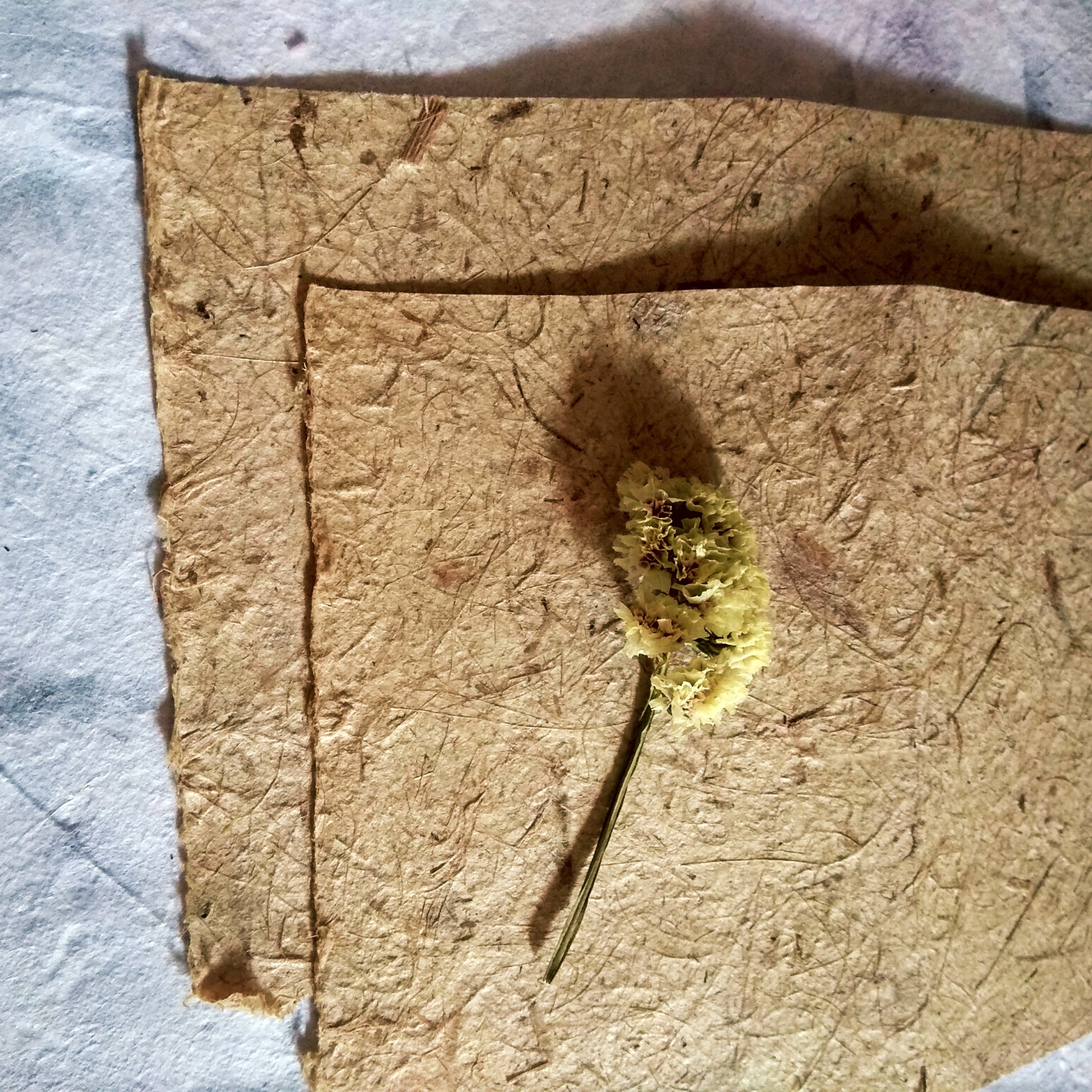 กระดาษใยกล้วย เหลือง สำเนา