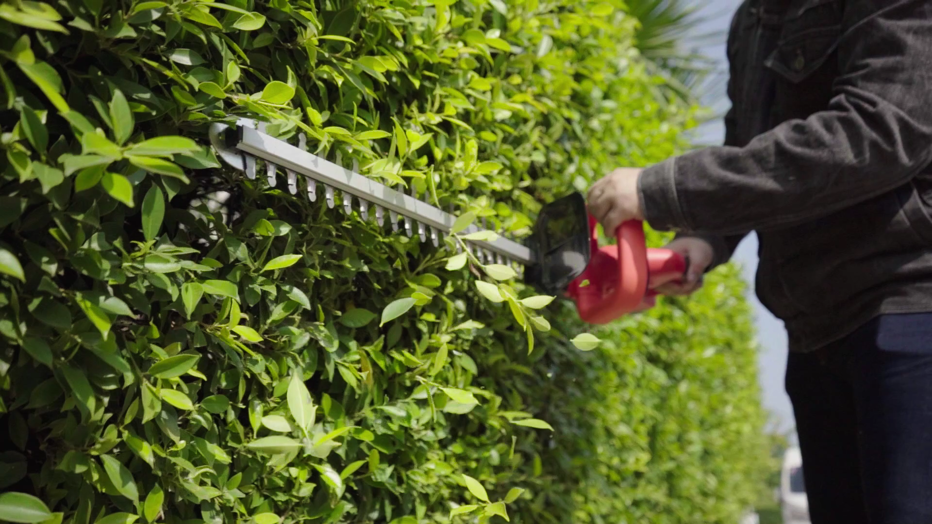 เครื่องตัดแต่งพุ่มไม้แบต 168V ยี่ห้อ Onsen รุ่น CS480