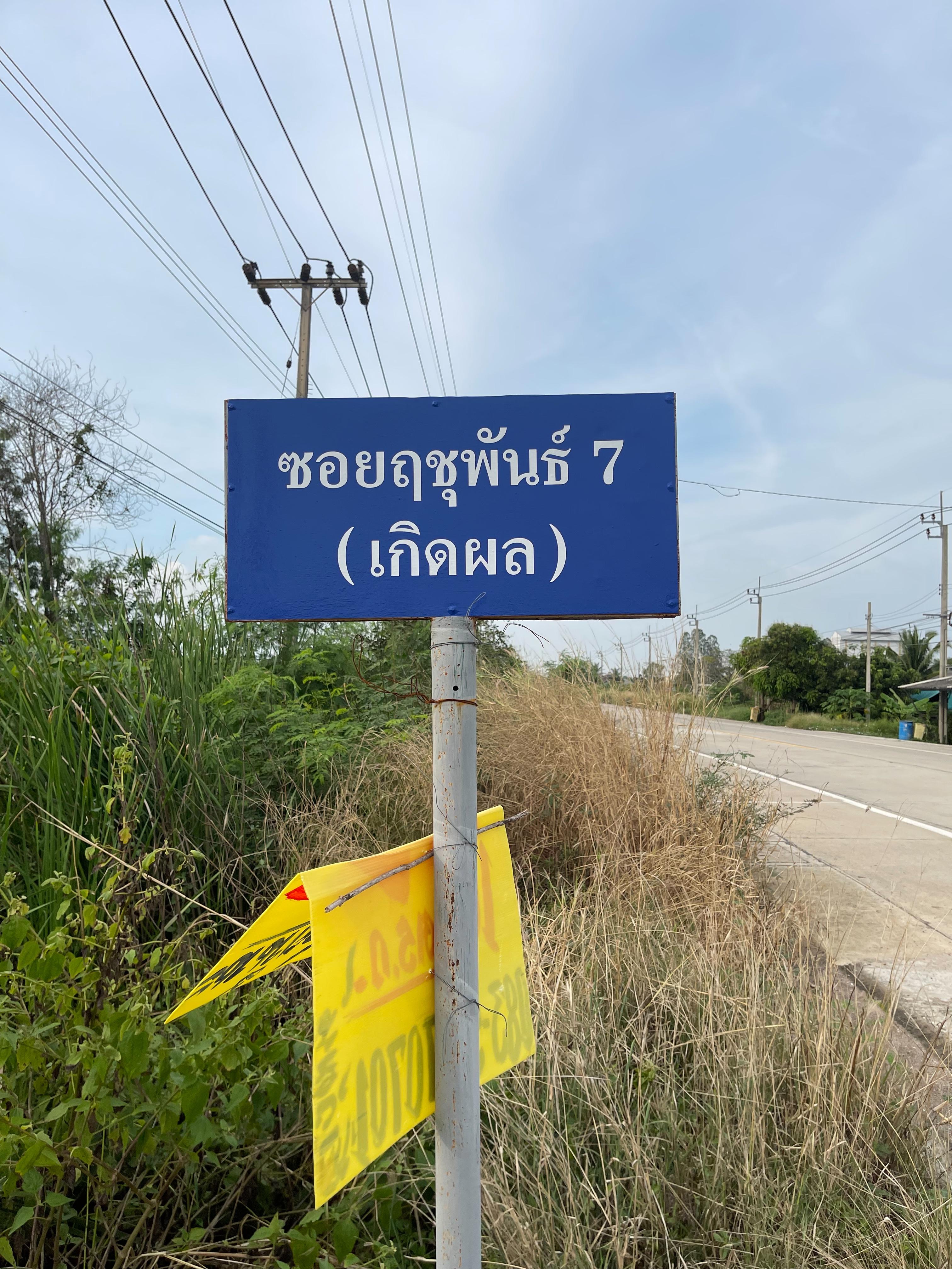 ขายที่ดินเปล่า ถมแล้วเท่าถนนเส้นเมนหลัก ต.ไทรใหญ่ ไทรน้อย