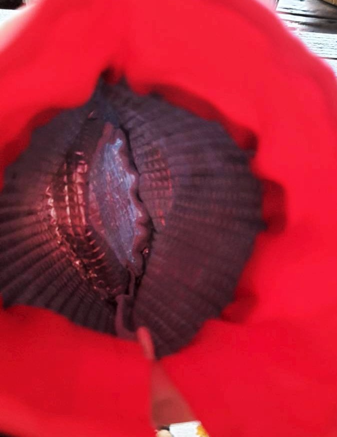 Colorful bottle holder กระเป๋าใส่ขวดพกพา เก็บอุณหภูมิ ร้อน/เย็น จากญี่ปุ่น Size โดยประมาณ : 12 x 21 cm