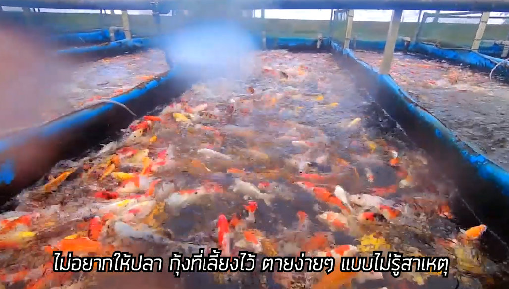 pHMETER เครื่องวัดความเป็นกรด-ด่าง