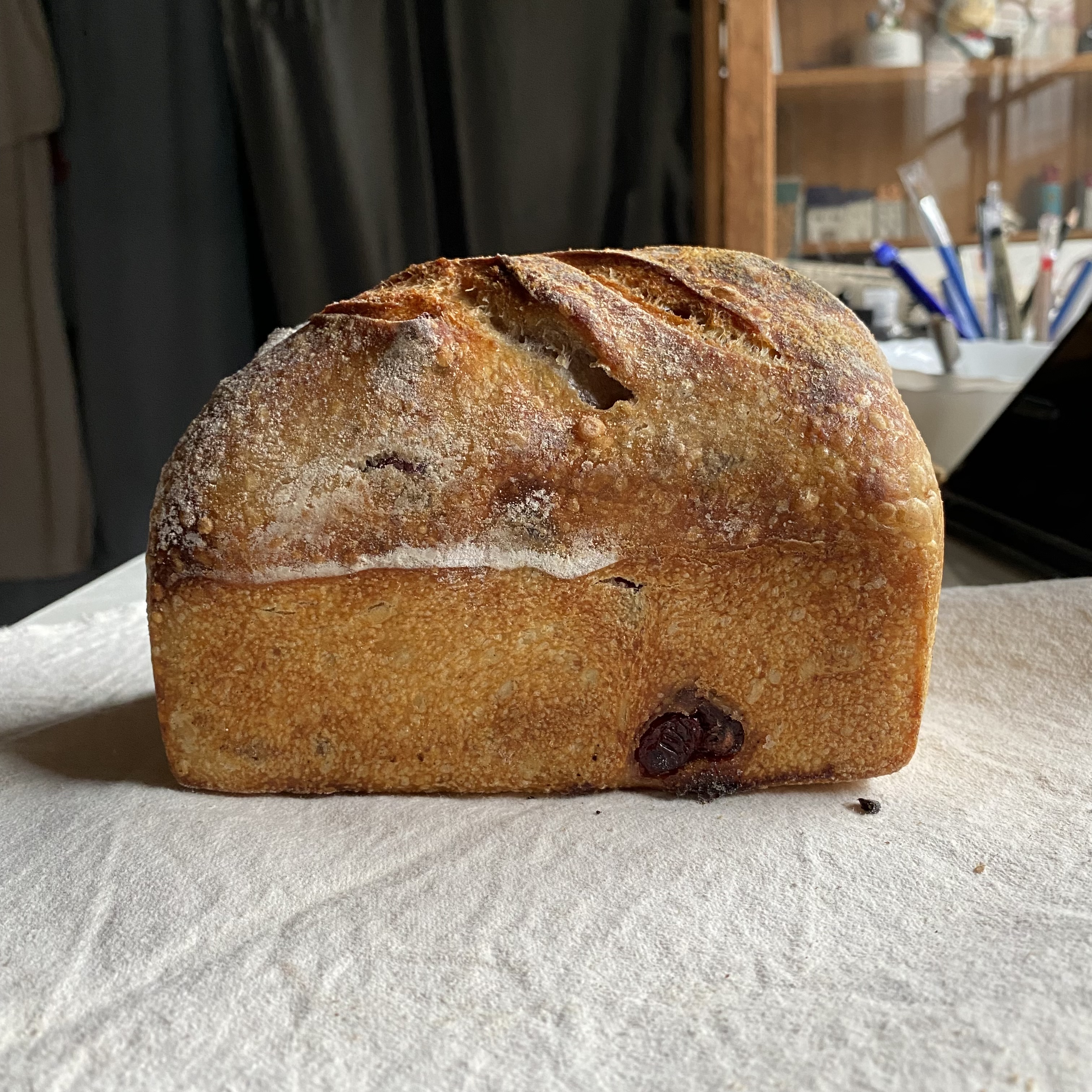 Ⓥ Walnut Cranberry Sourdough Tin (16% Whole Wheat, about 650g.)