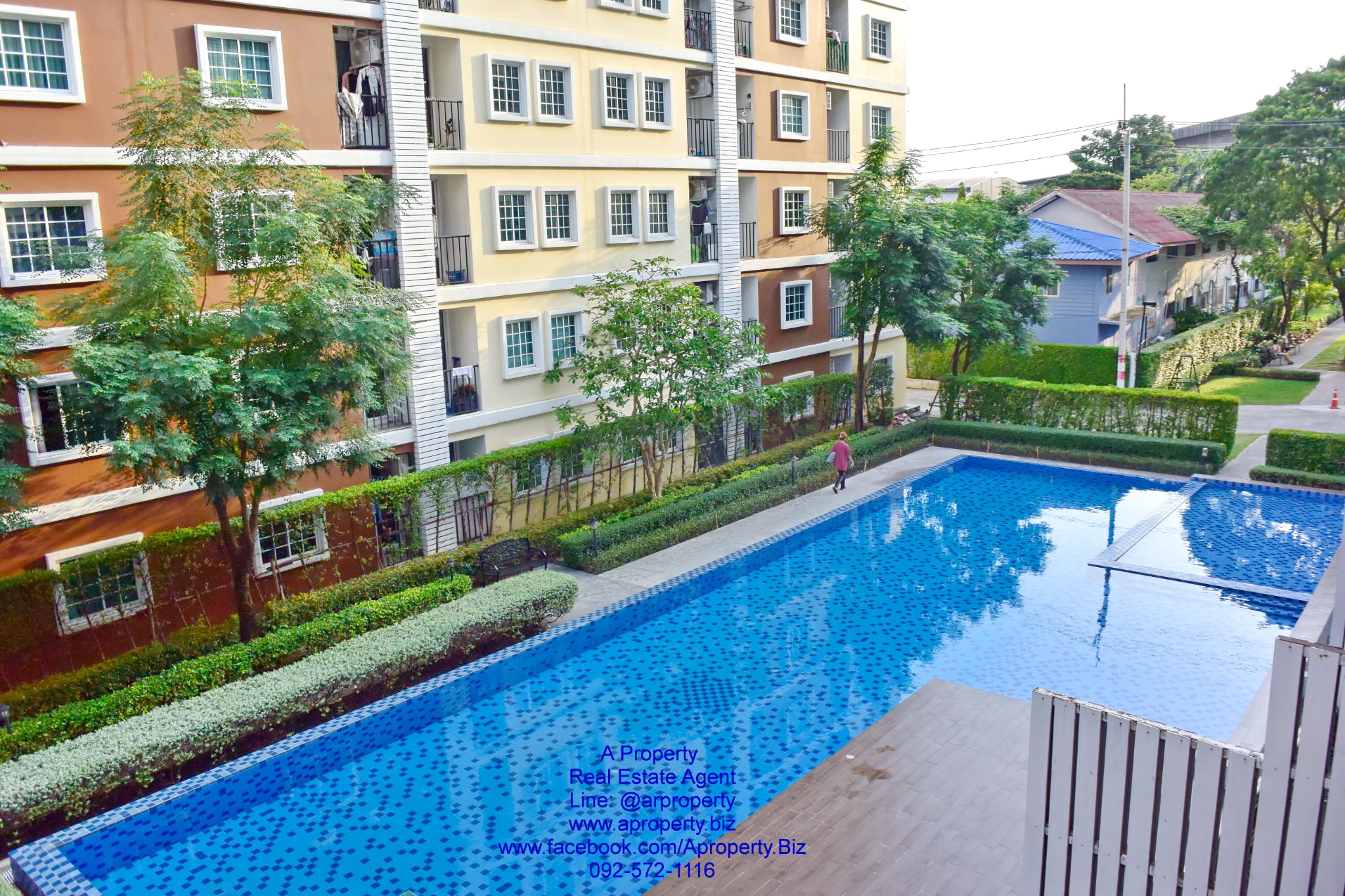 ขาย ทิวลิปอ้อมน้อยห้องมุม ขายแล้ว