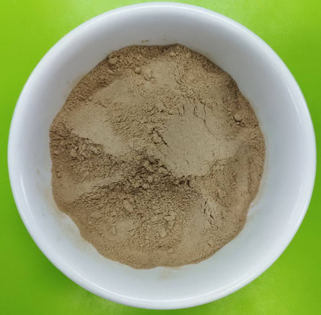 Mushroom Powder 100% (เห็ดหอมผง 100%)
