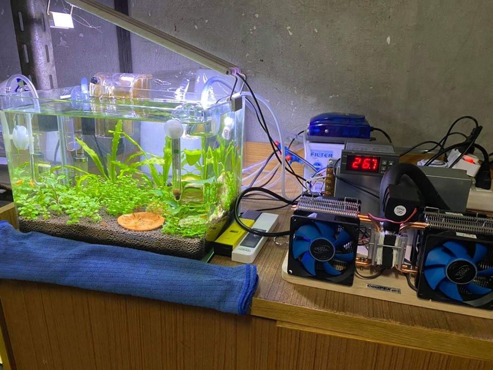 CoolPEX GEN 1 ชิลเลอร์ตู้ปลา 12 นิ้ว