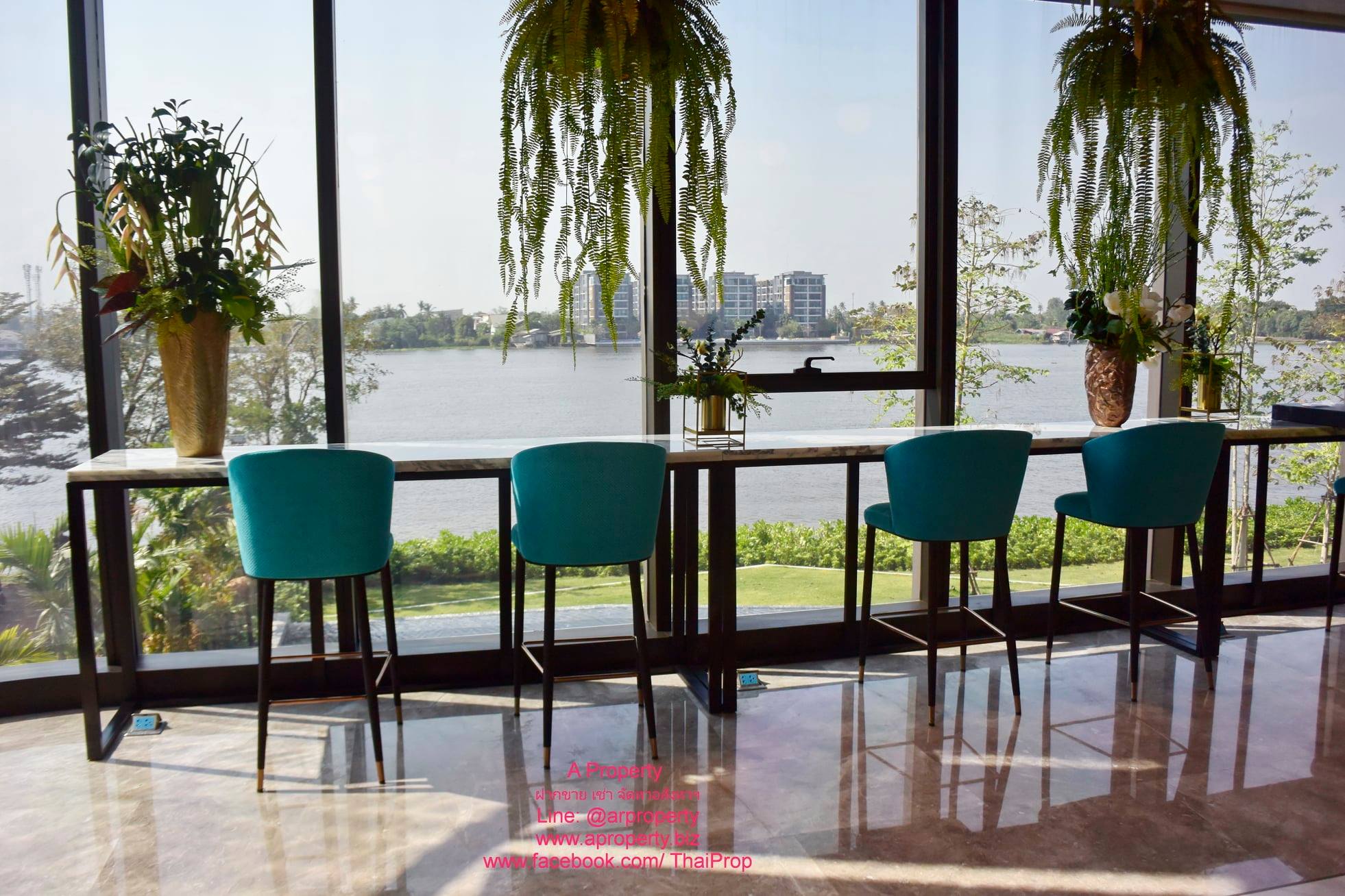 The Politan Aqua