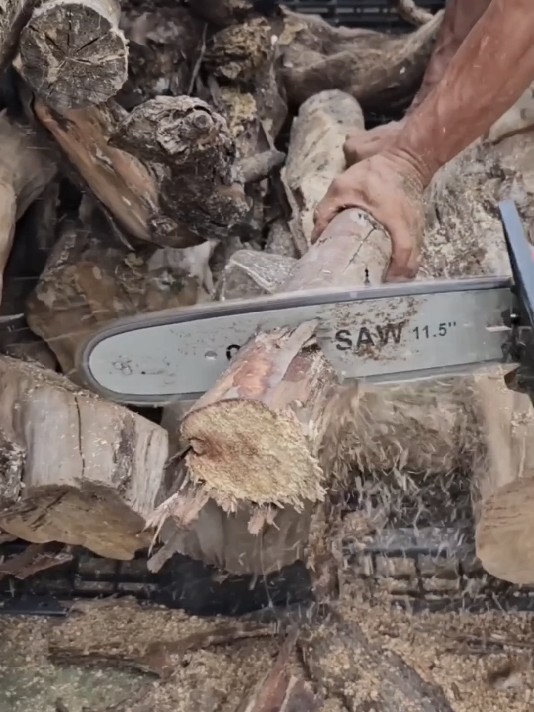 เลื่อยโซ่ไฟฟ้า บาร์ 11.5 นิ้ว STR สายไฟยาว 10 เมตร