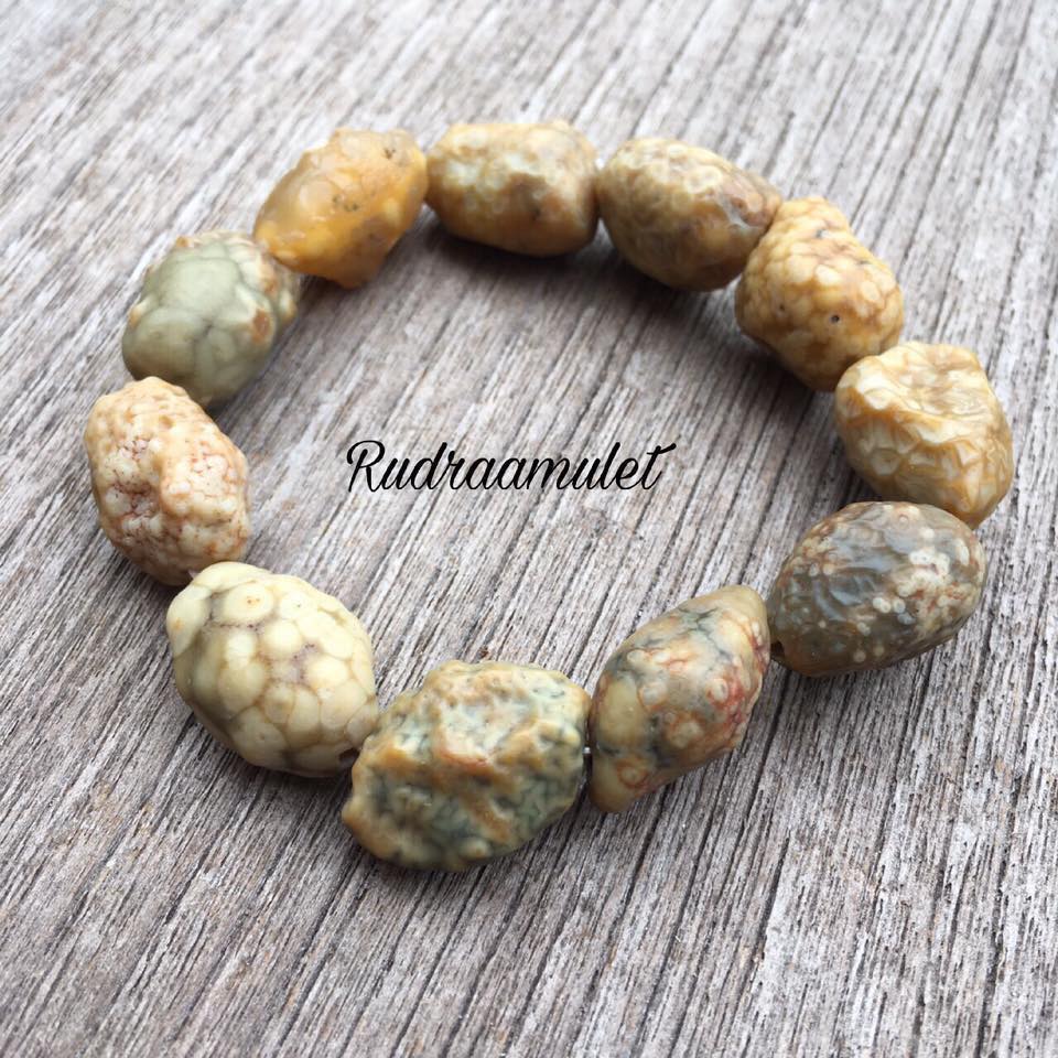 โกบีอาเกต (Gobi Agate)